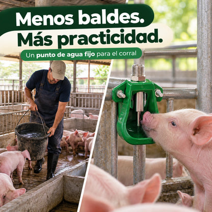 Menos baldes: bebedero automático fijo en el corral de los lechones