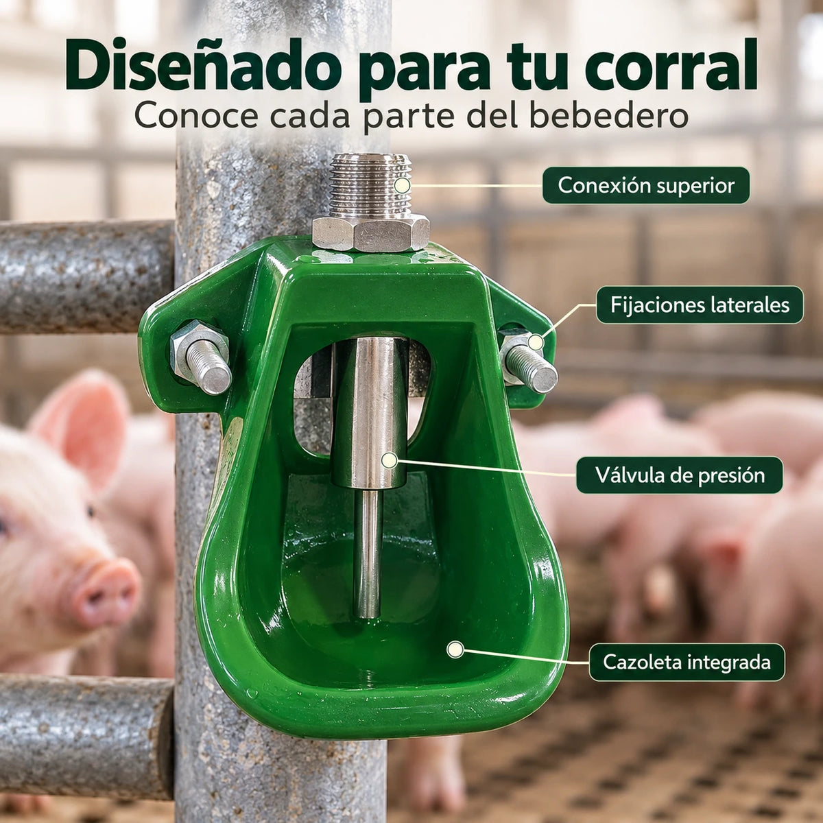 Partes del bebedero: conexión superior, fijaciones laterales, válvula de presión y cazoleta